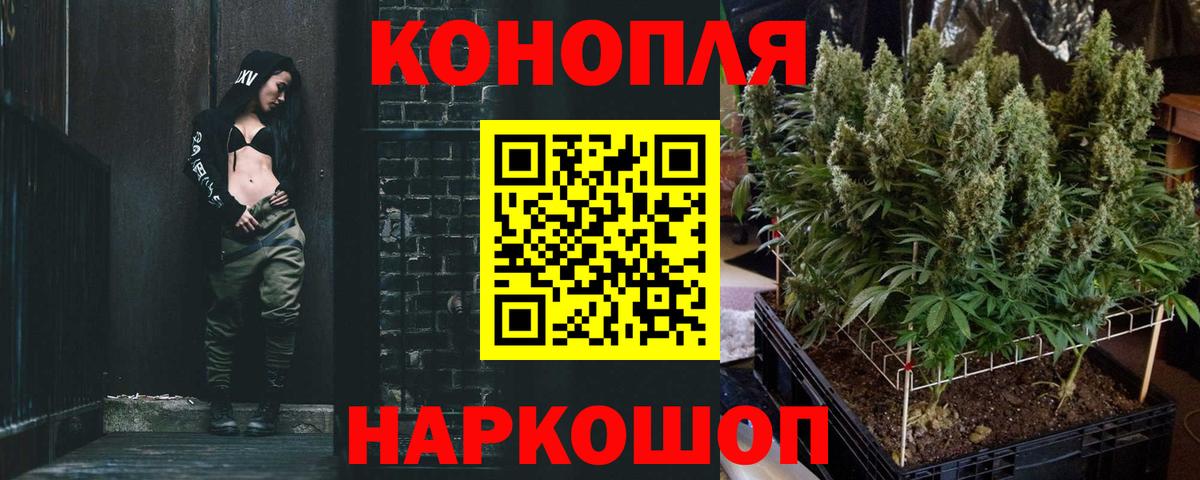 Бошки Шишки сатива Зеленогорск